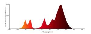 Sweet Aurora-R Red Light Therapy Spectral Irradiance Chart: Average Irradiance Across 630nm to 850nm Wavelengths (Targeted for Skin & Deep Tissue Recovery)